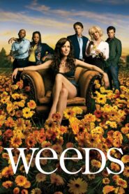 Weeds – Kleine Deals unter Nachbarn: Season 2