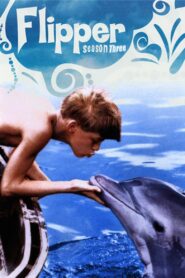 Flipper: Season 3