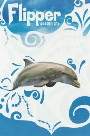 Flipper: Season 1