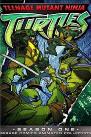 Teenage Mutant Ninja Turtles: Season 1