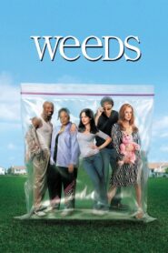 Weeds – Kleine Deals unter Nachbarn: Season 1