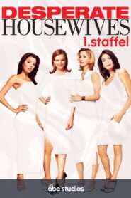 Desperate Housewives: Season 1