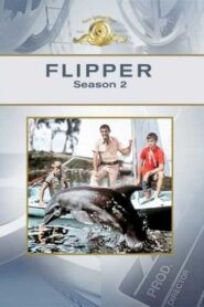 Flippers neue Abenteuer: Season 2