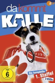 Da kommt Kalle: Season 1