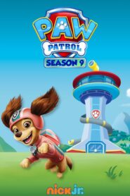 Paw Patrol Helfer auf vier Pfoten: Season 9