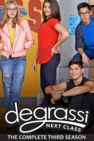 Degrassi: Die nächste Klasse: Season 3