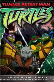 Teenage Mutant Ninja Turtles: Season 2