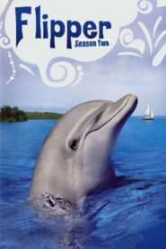 Flipper: Season 2