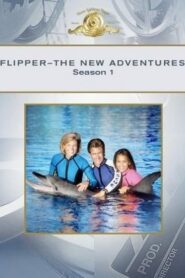 Flippers neue Abenteuer: Season 1