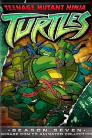 Teenage Mutant Ninja Turtles: Season 7