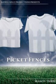 Picket Fences: Season 3