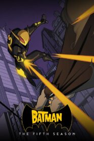 The Batman: Season 5