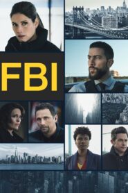 FBI: Season 5