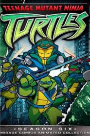 Teenage Mutant Ninja Turtles: Season 6