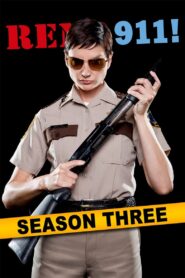 Reno 911!: Season 3