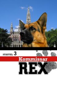 Kommissar Rex: Season 3