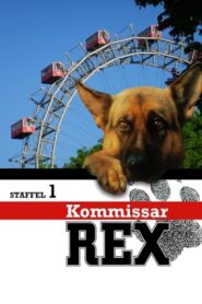 Kommissar Rex: Season 1