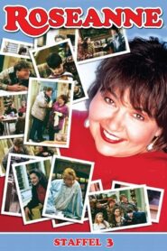 Roseanne: Season 3