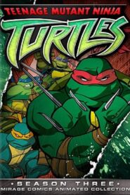 Teenage Mutant Ninja Turtles: Season 3