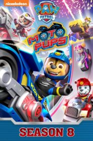 Paw Patrol Helfer auf vier Pfoten: Season 8