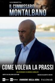 Commissario Montalbano: Season 11