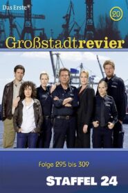 Großstadtrevier: Season 24