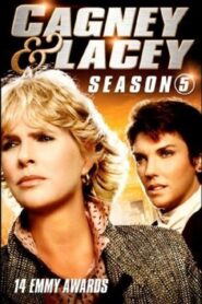 Cagney & Lacey: Season 5