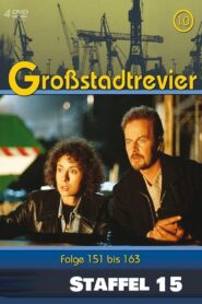 Großstadtrevier: Season 15