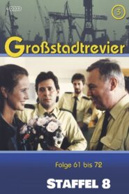 Großstadtrevier: Season 8