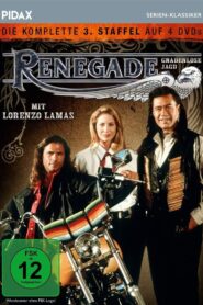 Renegade – Gnadenlose Jagd: Season 3