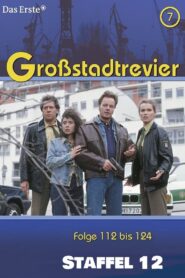 Großstadtrevier: Season 12