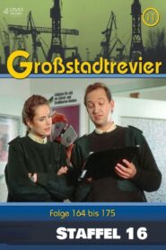 Großstadtrevier: Season 16