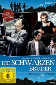 Die schwarzen Brüder: Season 1