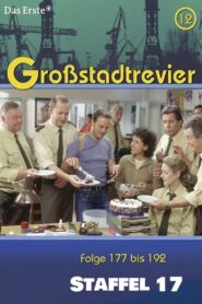 Großstadtrevier: Season 17