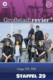 Großstadtrevier: Season 29