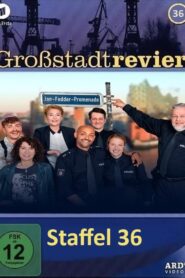 Großstadtrevier: Season 36