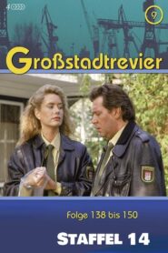 Großstadtrevier: Season 14