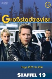 Großstadtrevier: Season 19