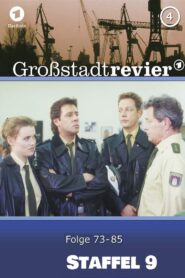 Großstadtrevier: Season 9