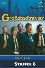 Großstadtrevier: Season 6