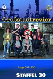 Großstadtrevier: Season 30