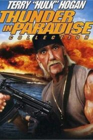 Thunder in Paradise: Season 1