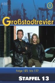 Großstadtrevier: Season 13