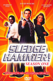 Sledge Hammer!: Season 1