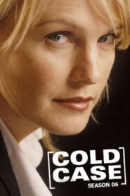 Cold Case – Kein Opfer ist je vergessen: Season 6