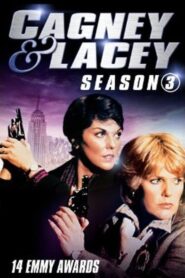 Cagney & Lacey: Season 3