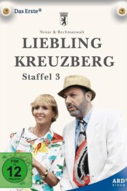 Liebling Kreuzberg: Season 3