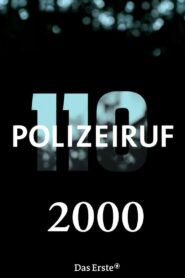 Polizeiruf 110: Season 29