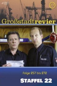 Großstadtrevier: Season 22