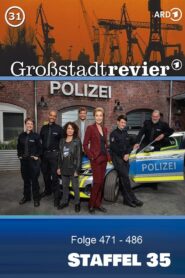 Großstadtrevier: Season 35